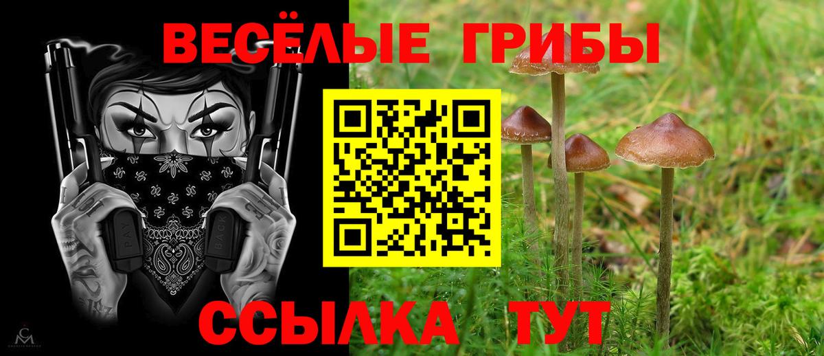 Псилоцибиновые грибы GOLDEN TEACHER Сальск