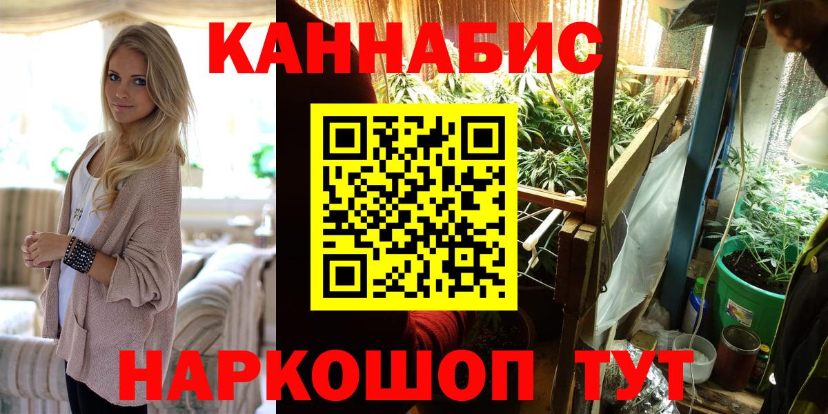 Каннабис планчик  Бошки Шишки THC 21%  Бошки Шишки VHQ  Вход с VPN  МАРИХУАНА OG Kush  Сальск 